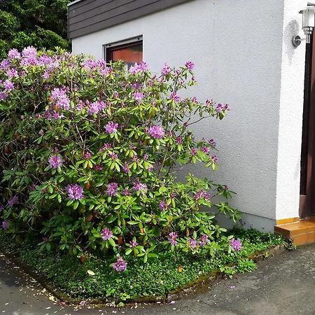 Ferienwohnung Bohm